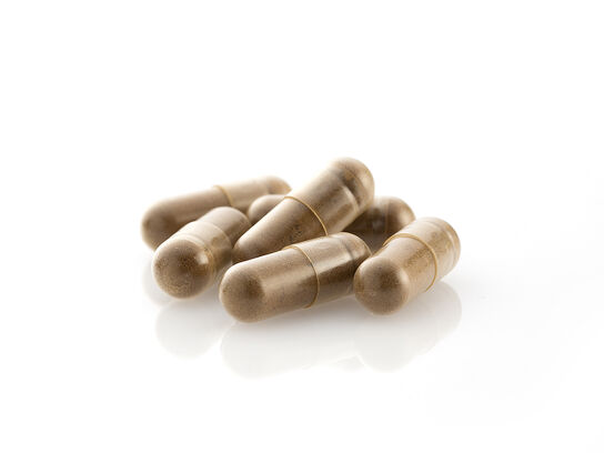 LAC ACTIVATED® Wild Yunzhi™ (60 vegicaps)