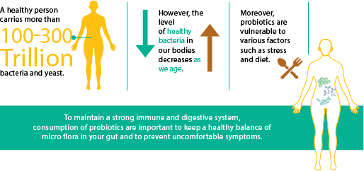 abccccccZ Digestive Health – Why Do We Need To Consume Probiotics?