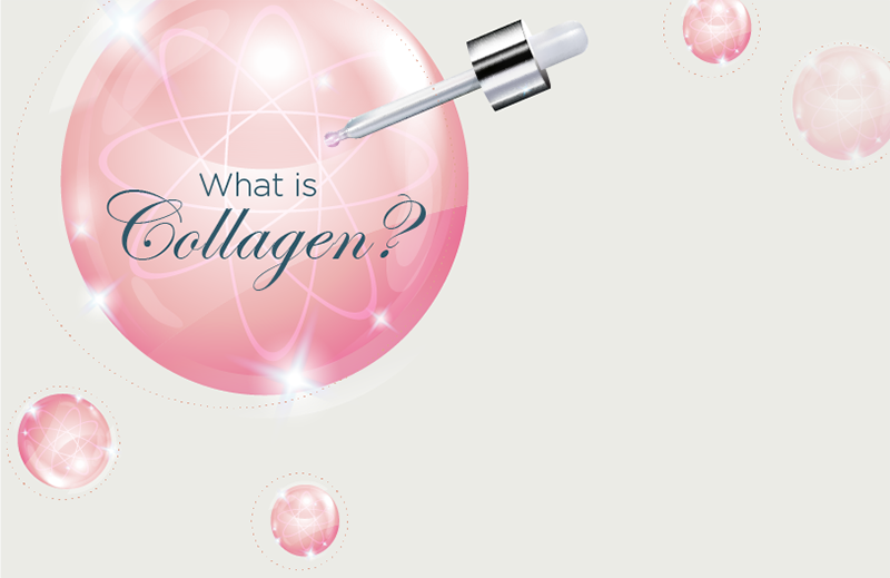 What is Collagen?