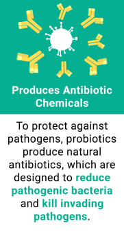 Produces Antibiotic Chemicals