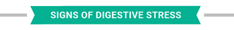 abccccccZ Digestive Health – Signs of Digestive Stress