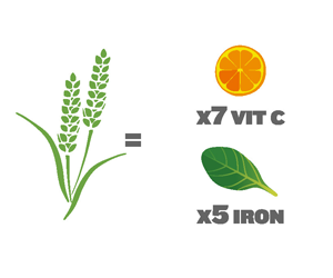 Prepack Some Vegetables in Containers 